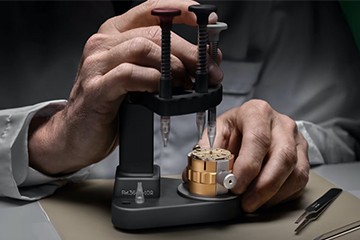 成都劳力士手表为什么会停